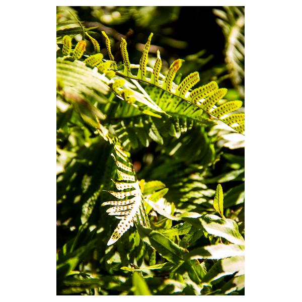 PHOTO84, CLUB, 84 , LUBERON